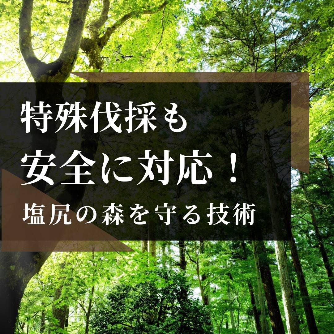 popup_banner