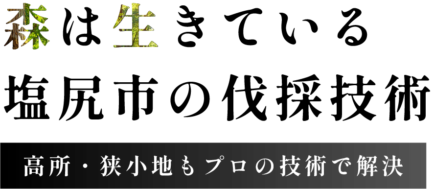 森は生きているがコンセプト